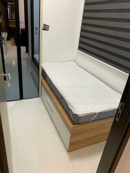 The Rise @ Oxley (D9), Condominium #464975311